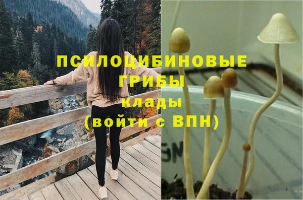 спайс Костерёво