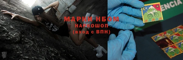 ГАЛЛЮЦИНОГЕННЫЕ ГРИБЫ Корсаков
