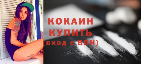 гашик Коряжма