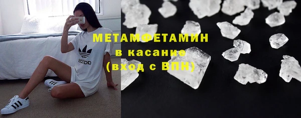 ГАЛЛЮЦИНОГЕННЫЕ ГРИБЫ Корсаков