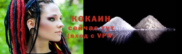 гашик Коряжма