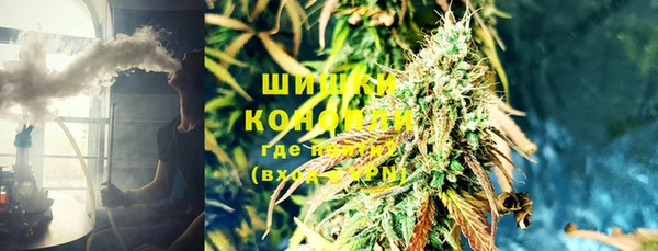 прущие грибы Кодинск