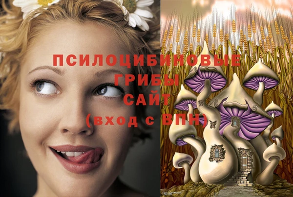 ГАЛЛЮЦИНОГЕННЫЕ ГРИБЫ Корсаков