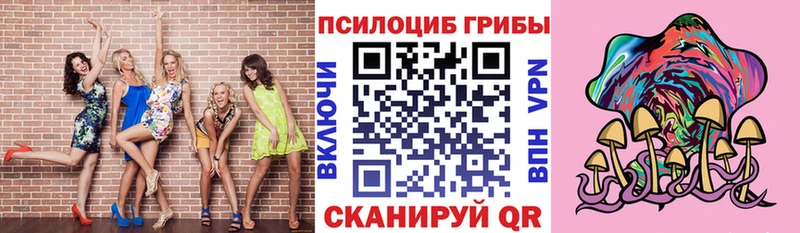 Псилоцибиновые грибы мицелий  Кудымкар 